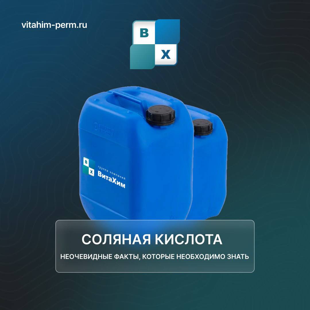 ���� �� ����� ������� ������ - ������� �������